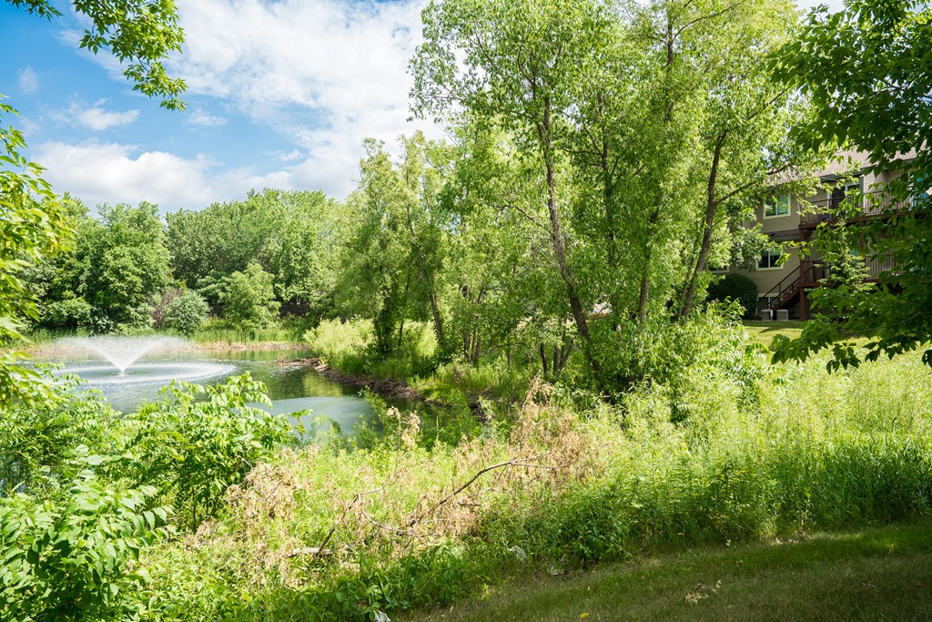 a view of a pond with trees and a building in the background