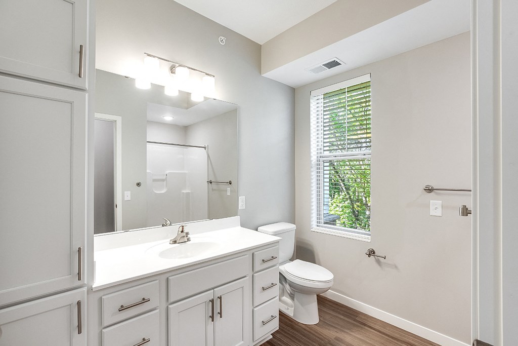 Cool Tone Bathroom, new, lux, bright Senior Apartment, Senior living, Maplewood, White Bear Lake, Saint Paul, Frost English Silver