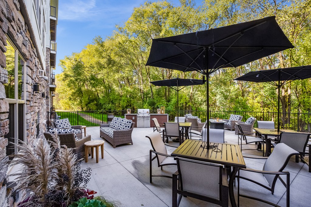 Senior Apartment, Senior living, Maplewood, White Bear Lake, Saint Paul, Frost English Silver