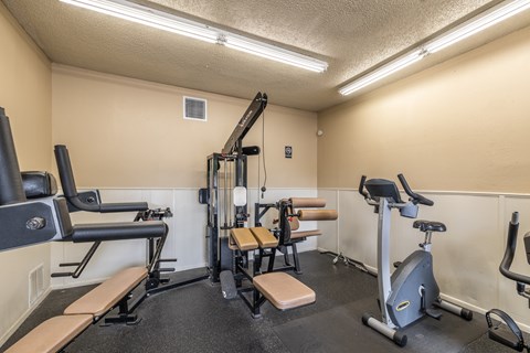 A gym with a variety of equipment including a treadmill, weights, and a bench.