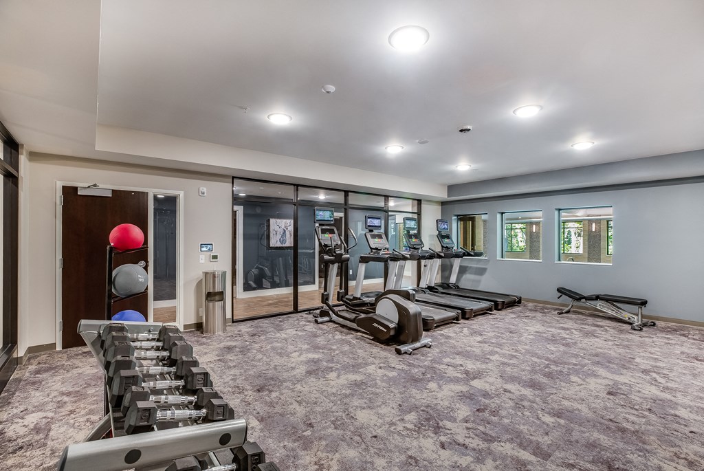 Fitness Center, Senior Apartment, Senior living, Maplewood, White Bear Lake, Saint Paul, Frost English Silver