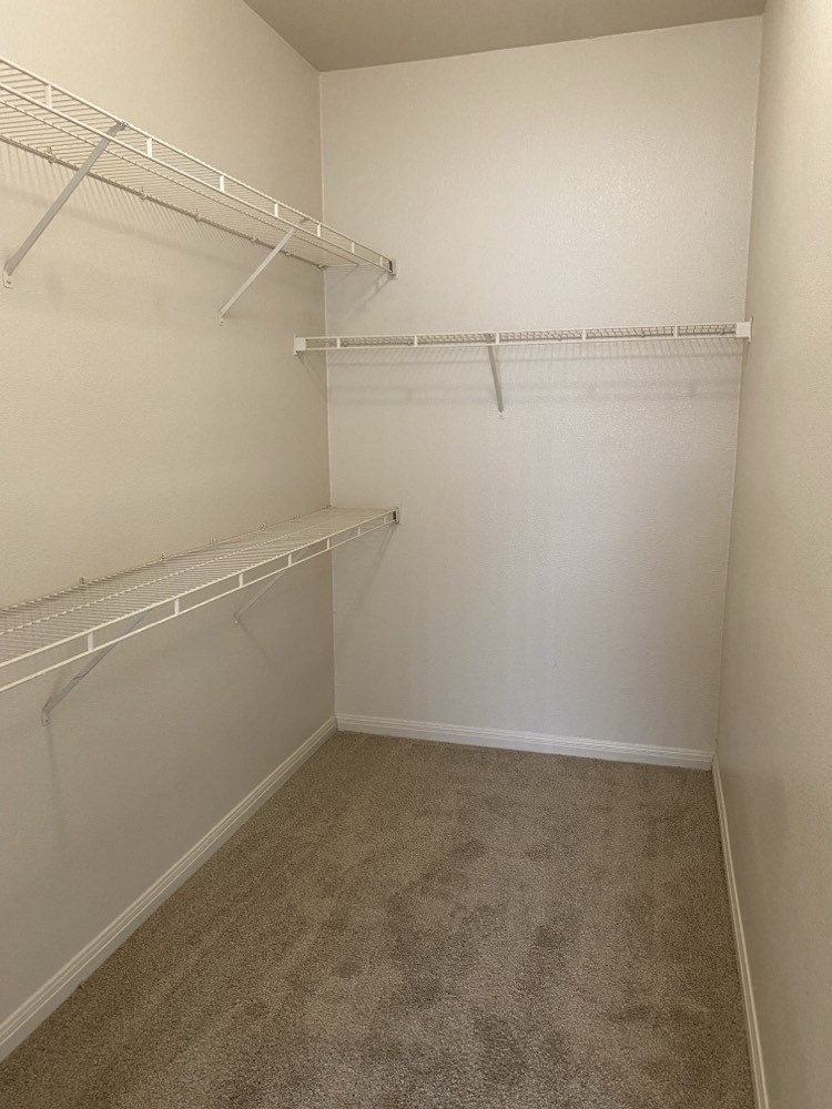 a spacious closet with shelves and a carpeted floor