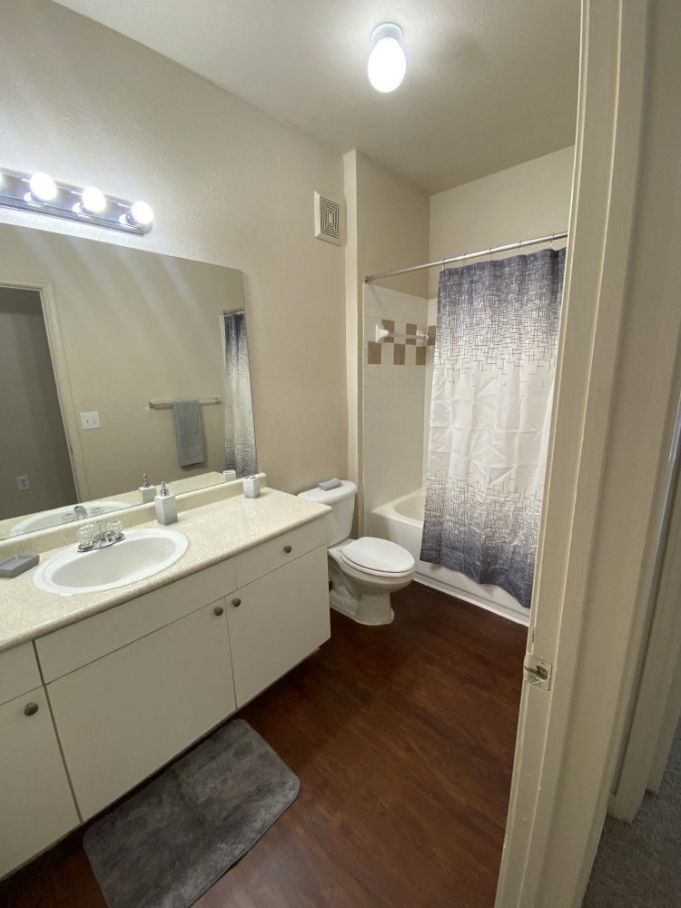 a bathroom with a sink and a toilet and a shower