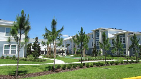 a row of apartment buildings with palm trees in front of them