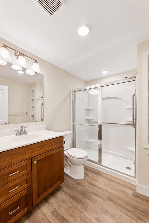 A modern bathroom with a walk-in shower and a white sink.