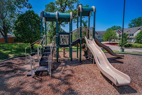 A playground with a slide and a climbing frame.