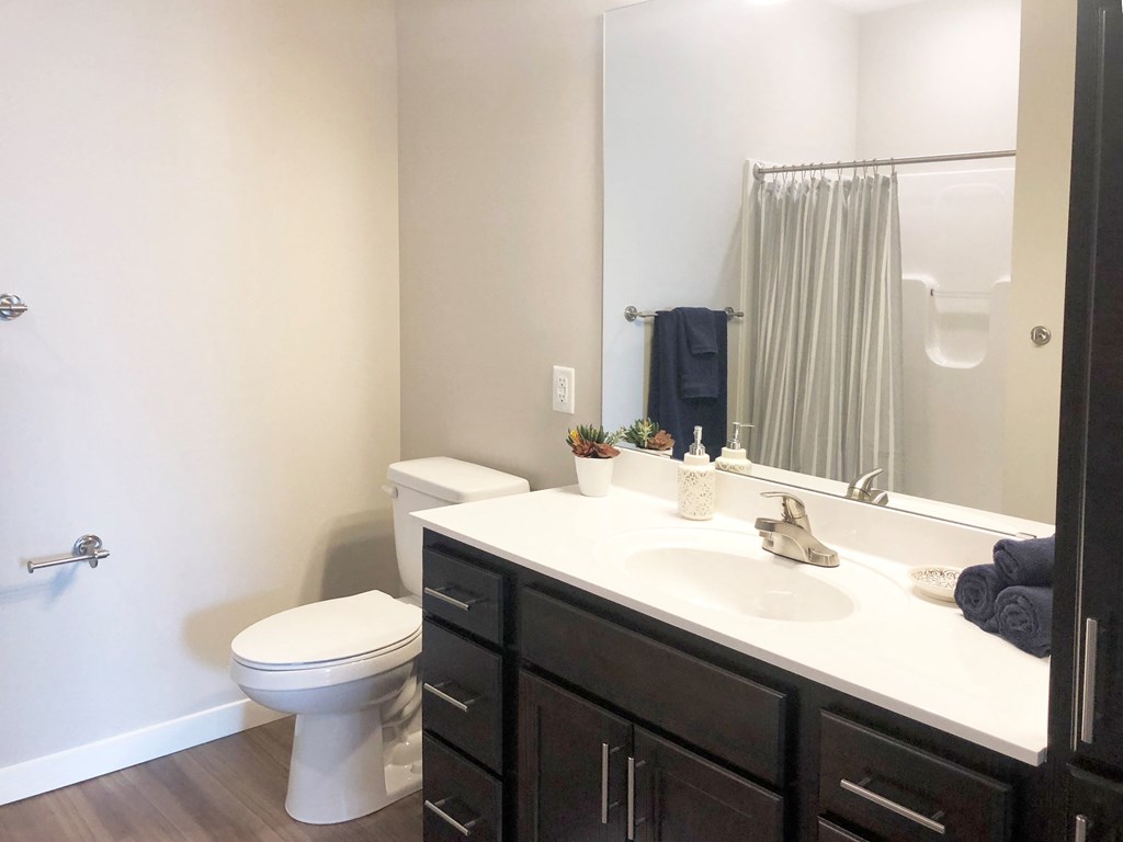 Warm Tone Bathroom, new, modern, Senior Apartment, Senior living, Maplewood, White Bear Lake, Saint Paul, Frost English Silver