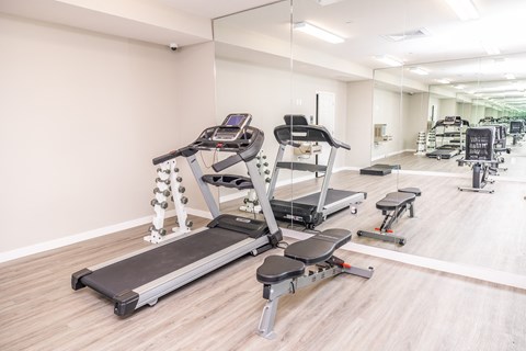 A gym with treadmills, weights, and other exercise equipment.