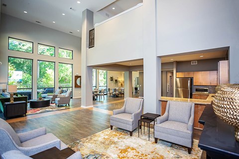 A living room with a grey sofa and a rug.