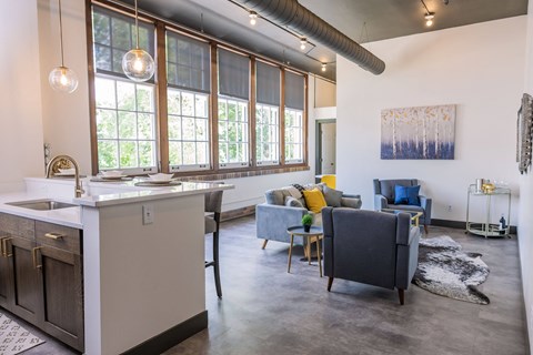 a living area with a kitchen and a living room with couches