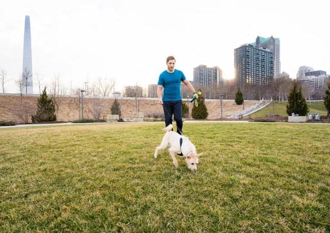 a man is playing with a dog in a park