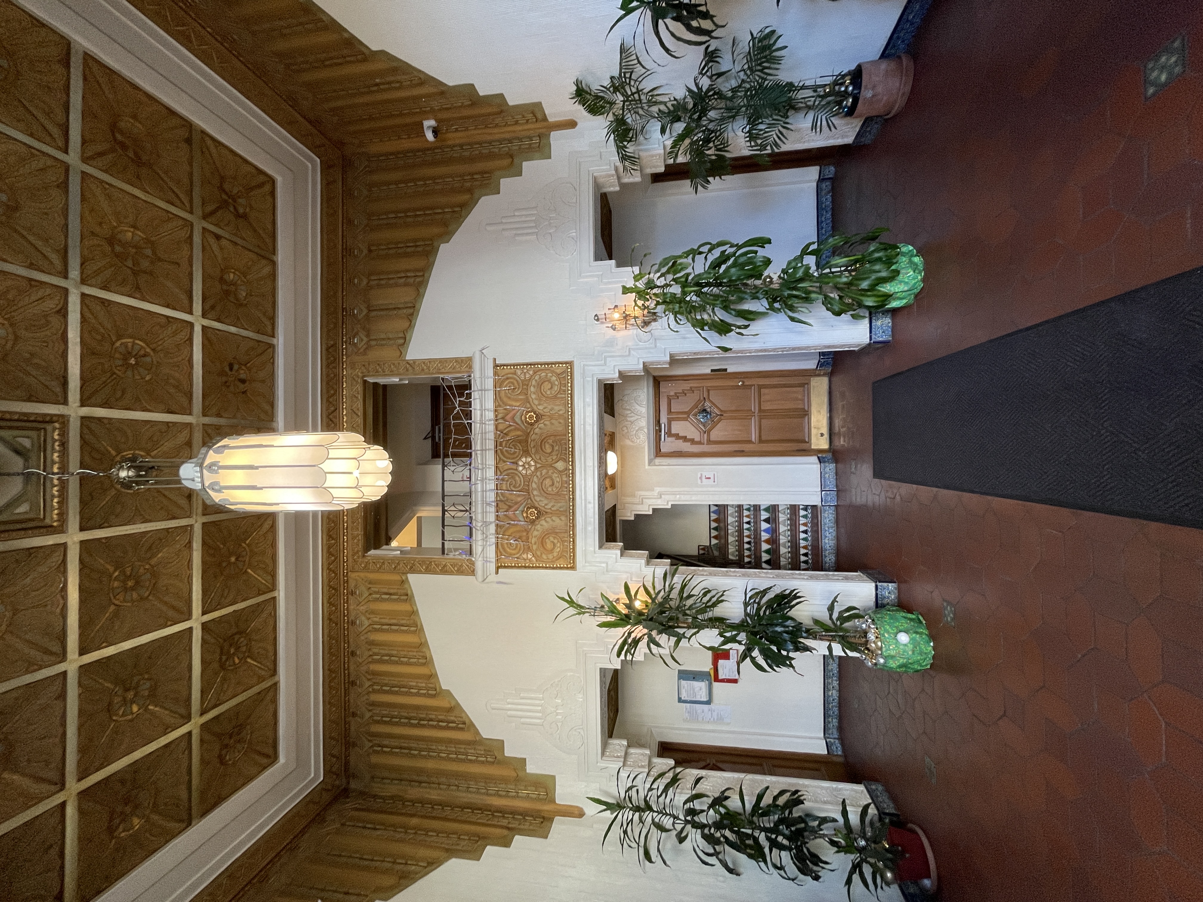 a view of a staircase from above with plants on the stairs