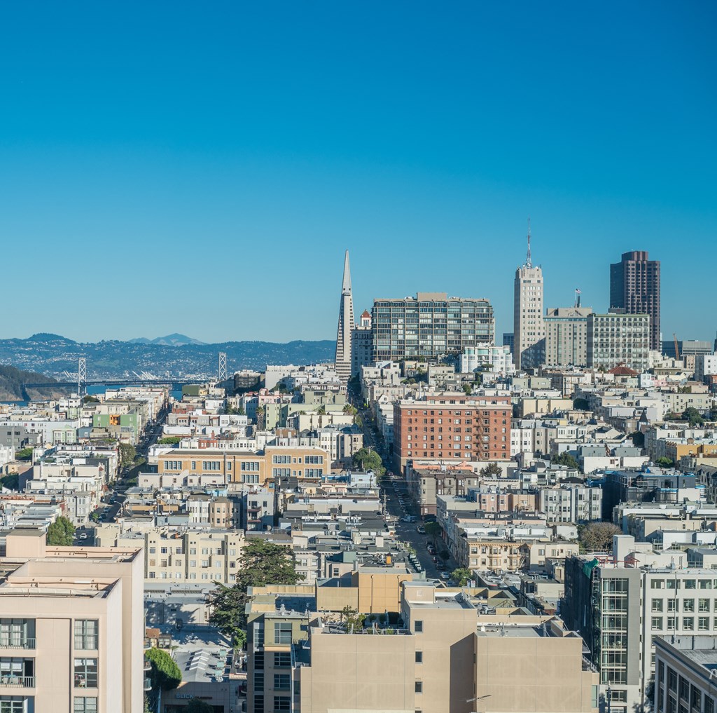 Crestview Downtown View 1