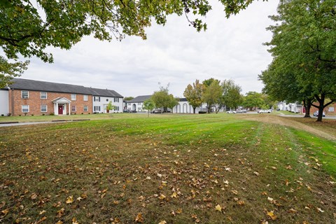 Expansive community green space with mature trees at The Vale at Walnut Creek Apartments, Columbus, OH