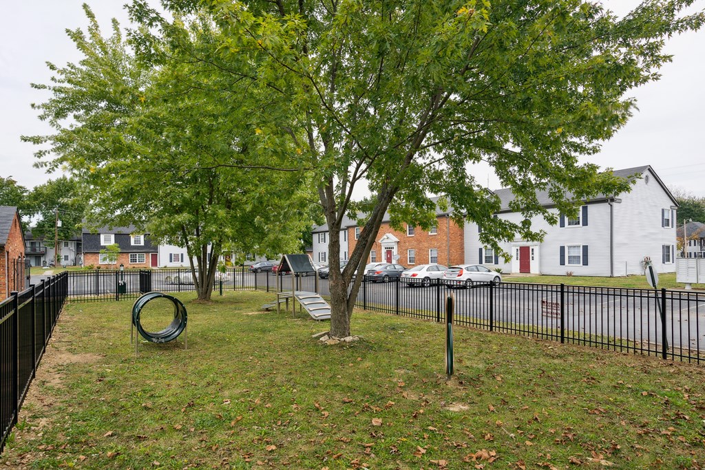 A tree in a yard with a black fence.