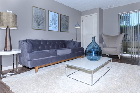 Living Area  at Parkview Apartments, Richmond Heights