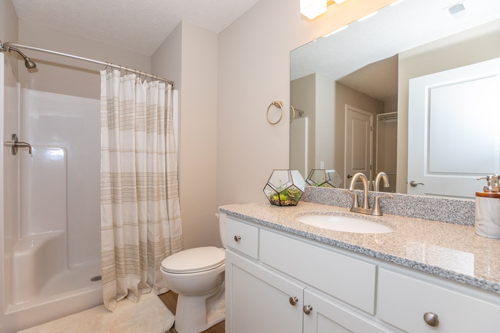 Private guest bathroom