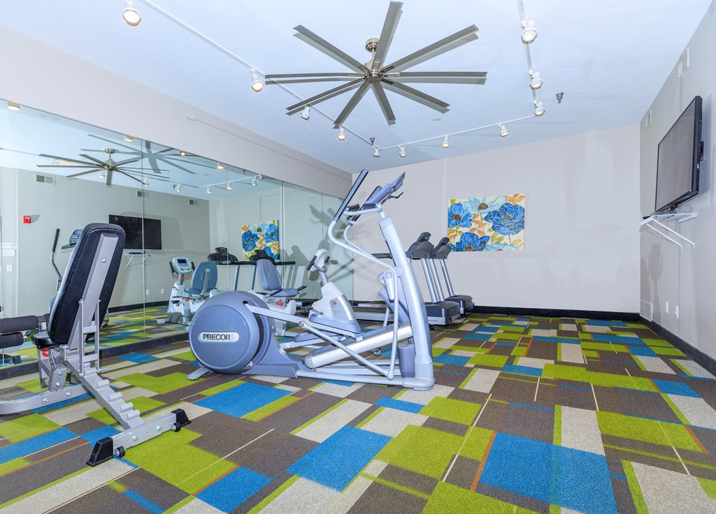 the gym at the enclave at woodbridge apartments in sugar land, tx