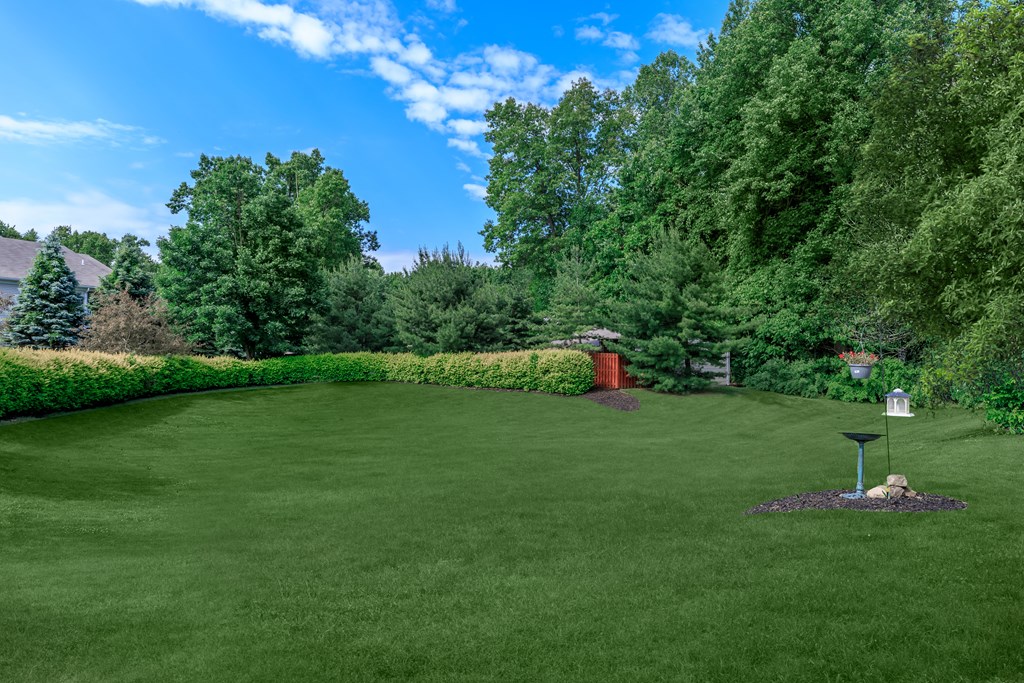 a large lawn with a hedge and a mailbox