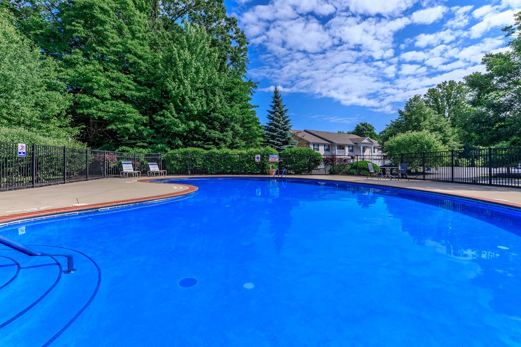 a large blue swimming pool with trees in the background