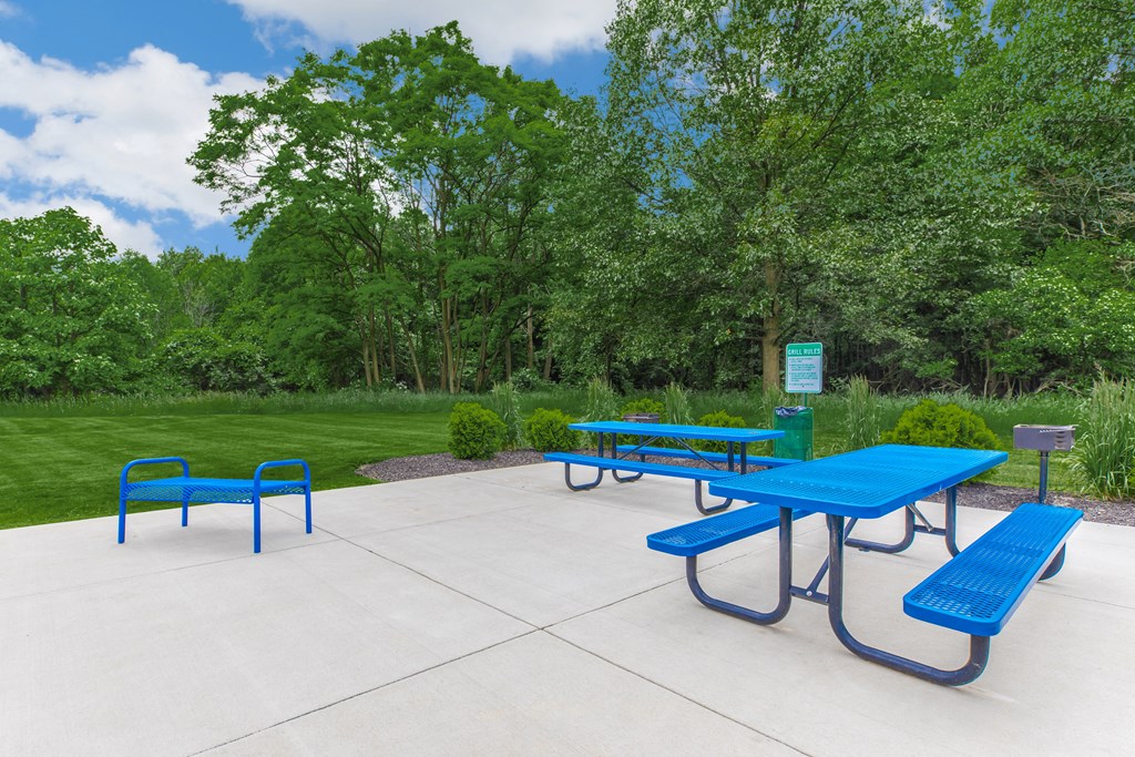 a picnic area with two blue picnic tables and a green grassy field in the background
