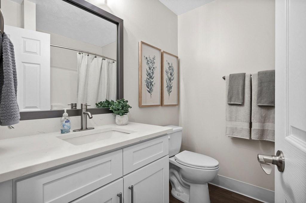 a bathroom with a sink and a toilet and a mirror