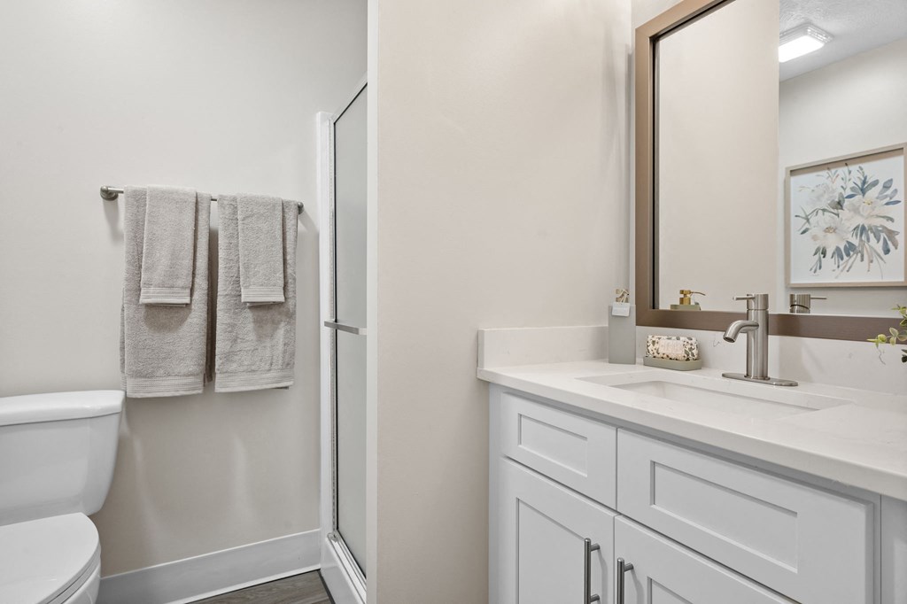 a bathroom with a sink and a shower and a toilet