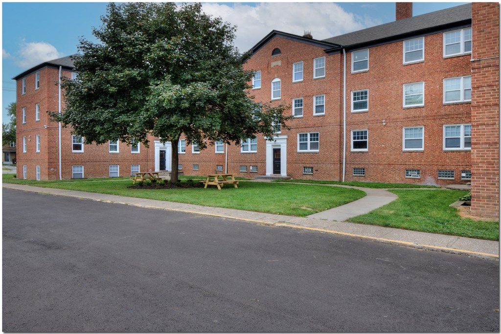 a tree in front of a building