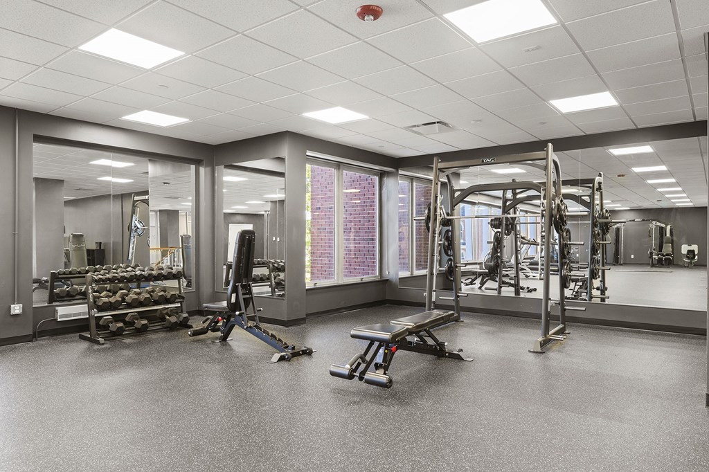 A gym with a variety of equipment including a squat rack, bench press, and a rowing machine.