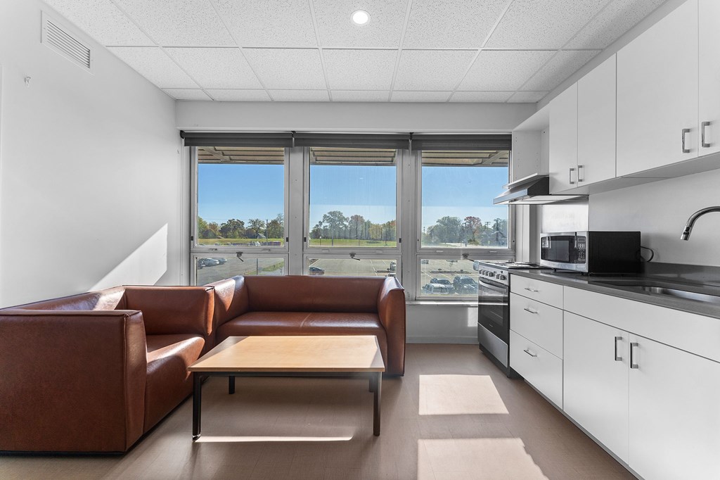 A modern kitchen with brown leather couches and a view of the outdoors through the window.