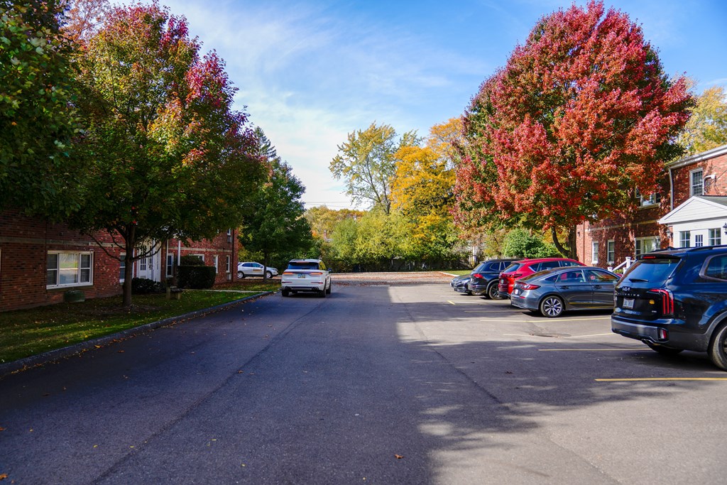 a car driving down a street with cars parked on the side