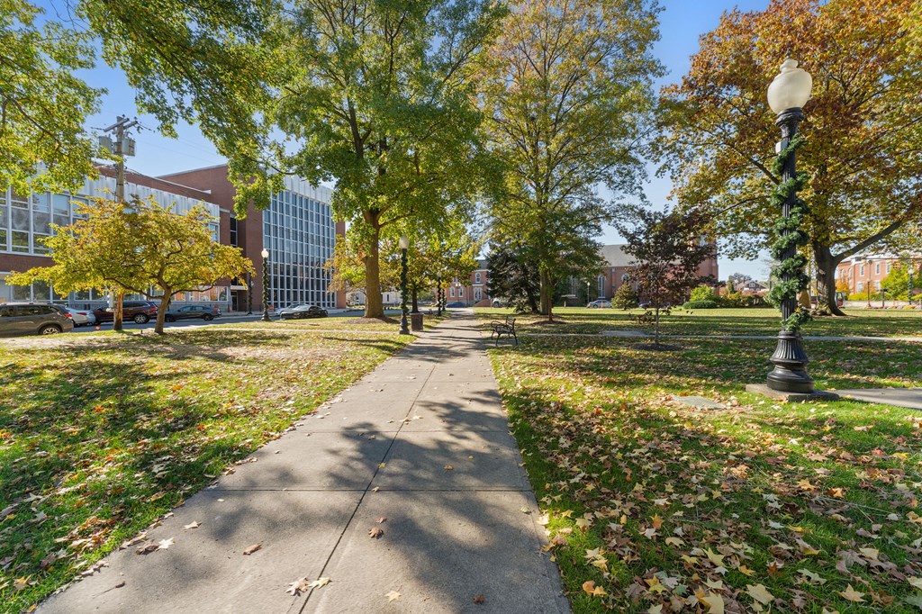 A tree-lined sidewalk in front of a building.