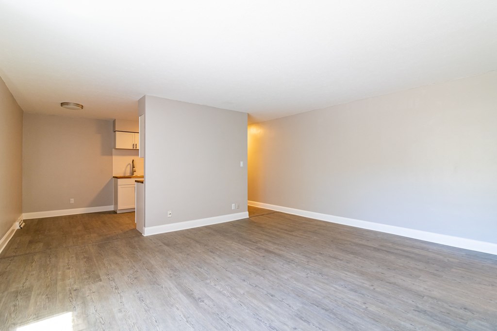 Living area with vinyl plank flooring