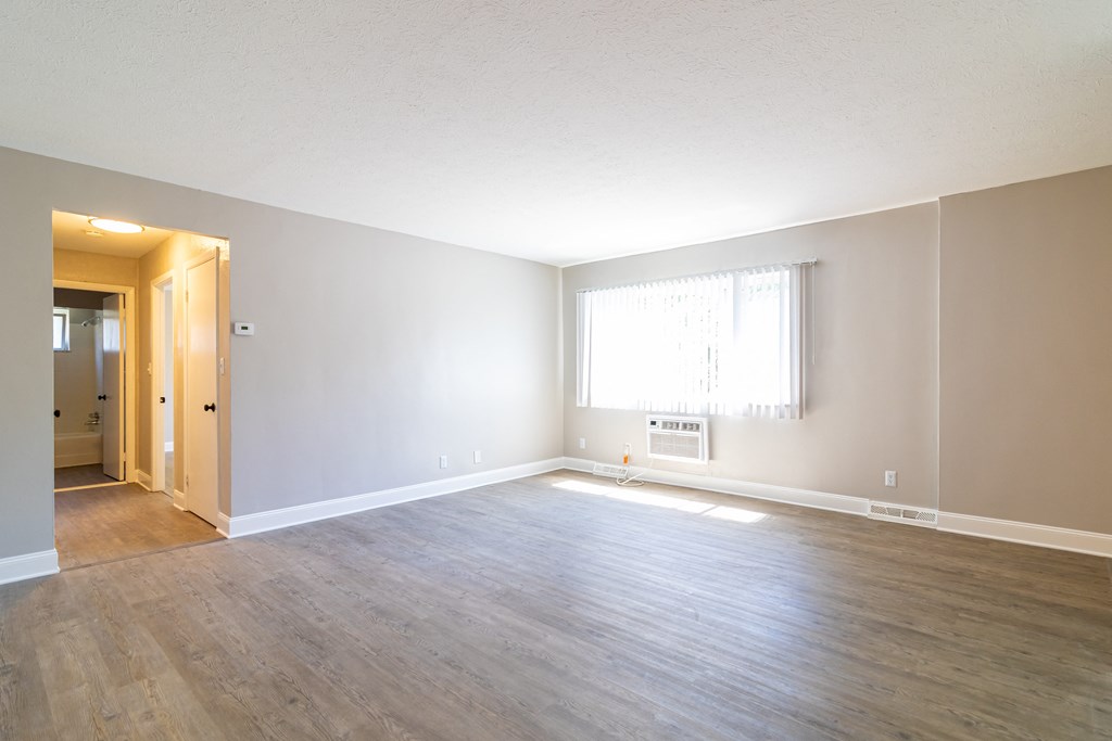 upgraded suite with natural lighting