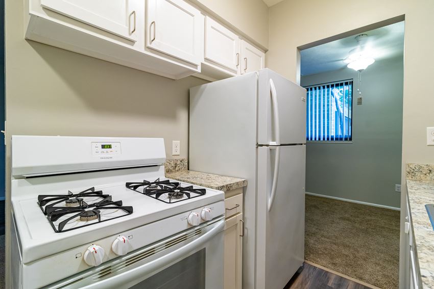 White kitchen appliances with white cabinetry