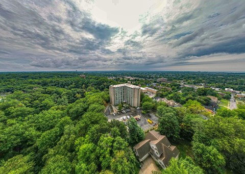 A bird's eye view of a lush green forest with a large building in the center.
