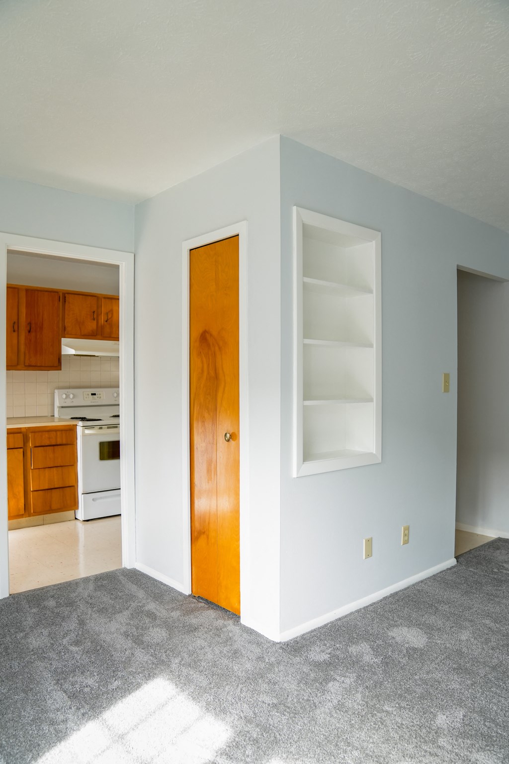 Living area with white shelving