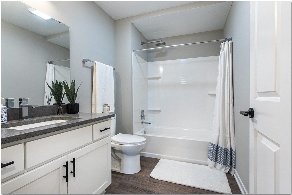 a bathroom with a shower toilet and sink and a mirror