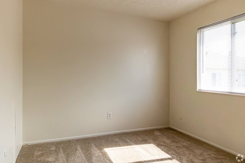 an empty room with a window and carpet