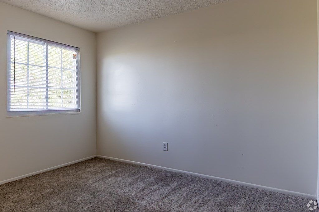 an empty room with a window and carpet