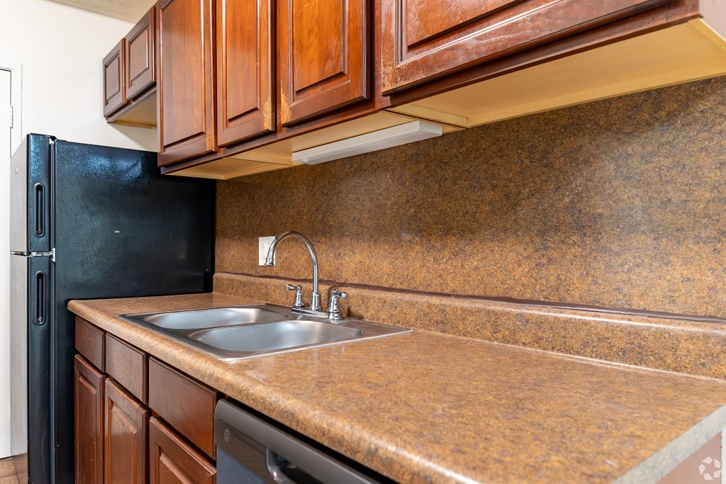 a kitchen with a sink and a black refrigerator