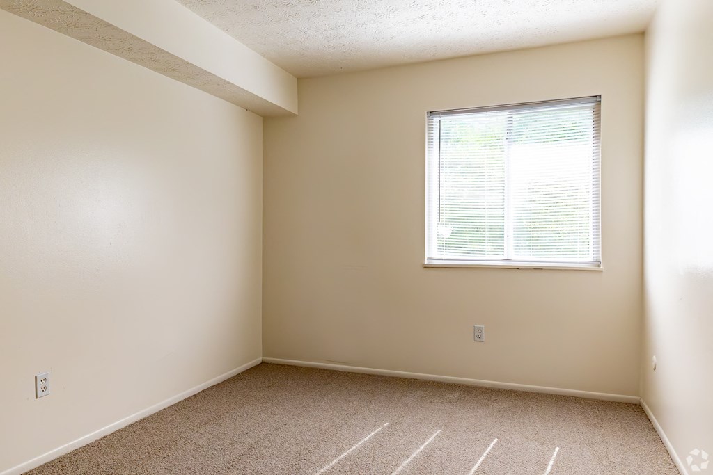 an empty bedroom with a window and carpeting