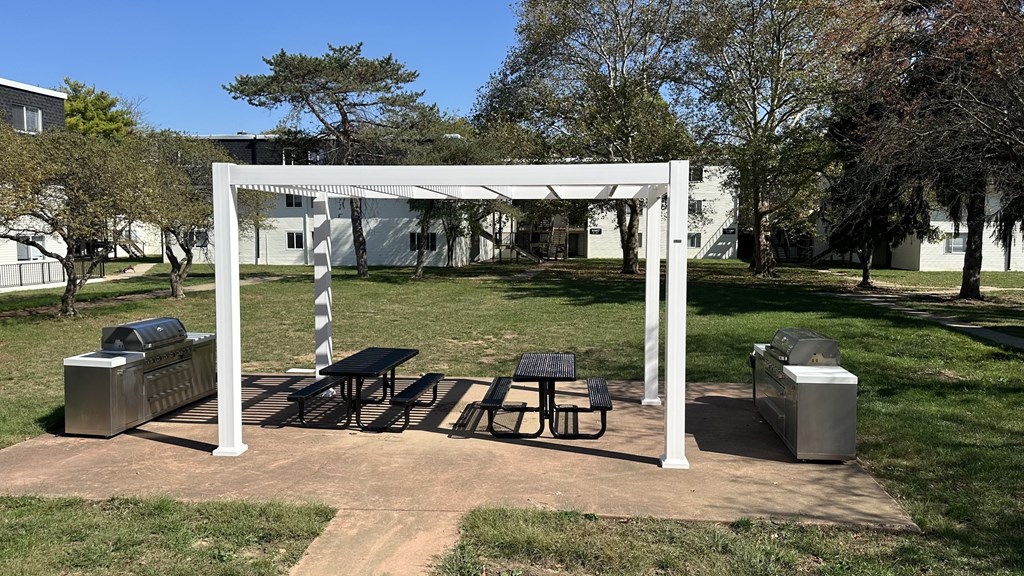 Luxury grilling station and pergola
