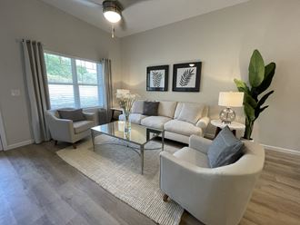 Living room seating area