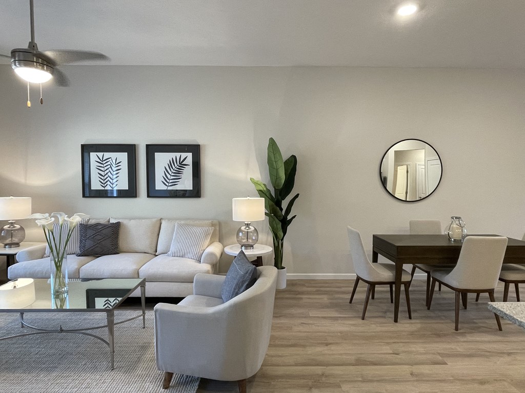 Kitchen / living space view