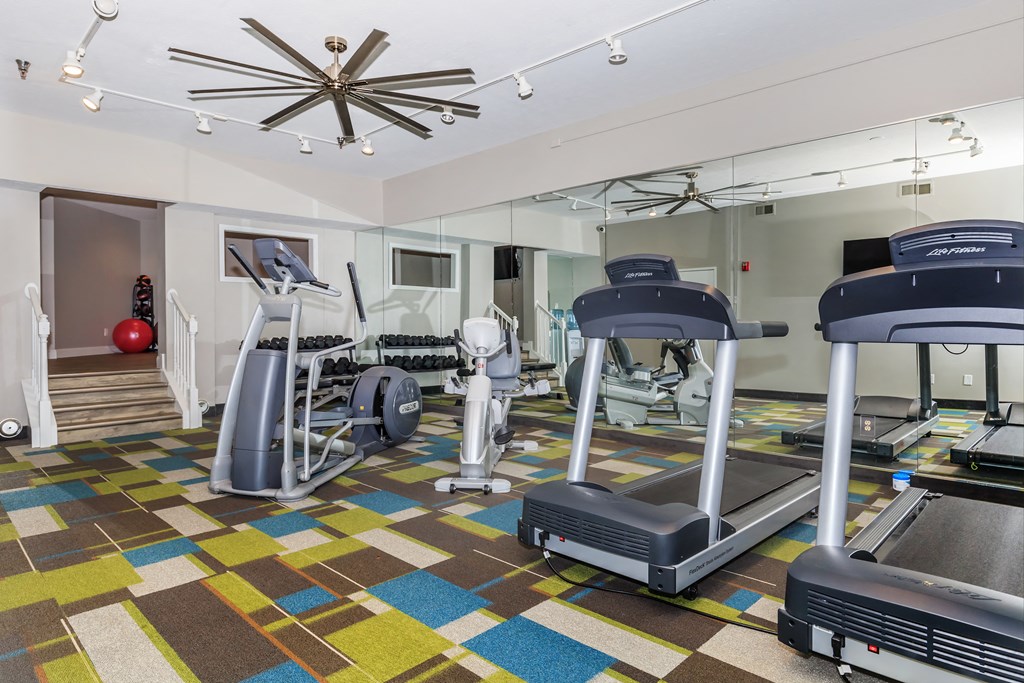 a large fitness room with treadmills and other exercise equipment