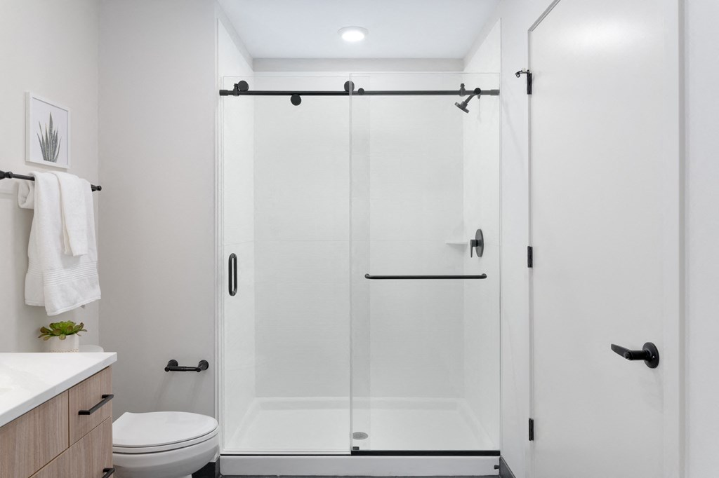 a bathroom with a shower and a sink and a toilet in Rocky River, OH 44116