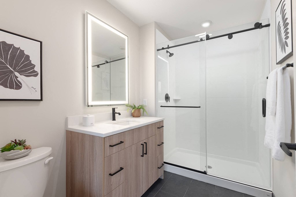 a bathroom with a shower and a sink and a mirror in Rocky River, OH 44116