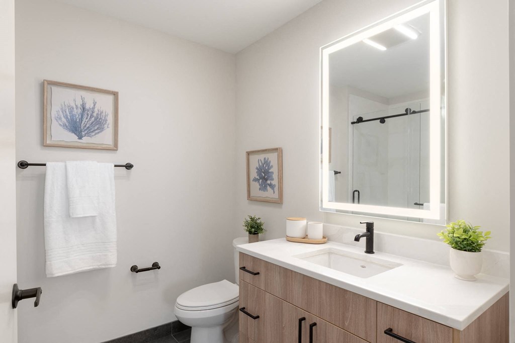 a bathroom with a sink and a mirror and a toilet in Rocky River, OH 44116
