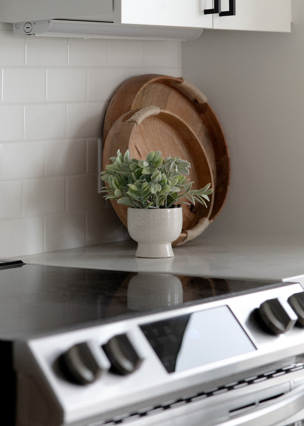 a kitchen counter with a potted plant on top of a stove in Rocky River, OH 44116